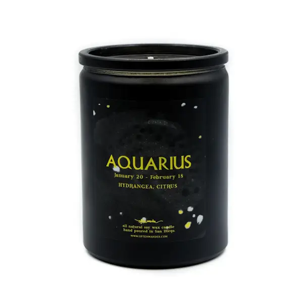 Aquarius: Hydrangea & Citrus -  12 Oz Soy Candle