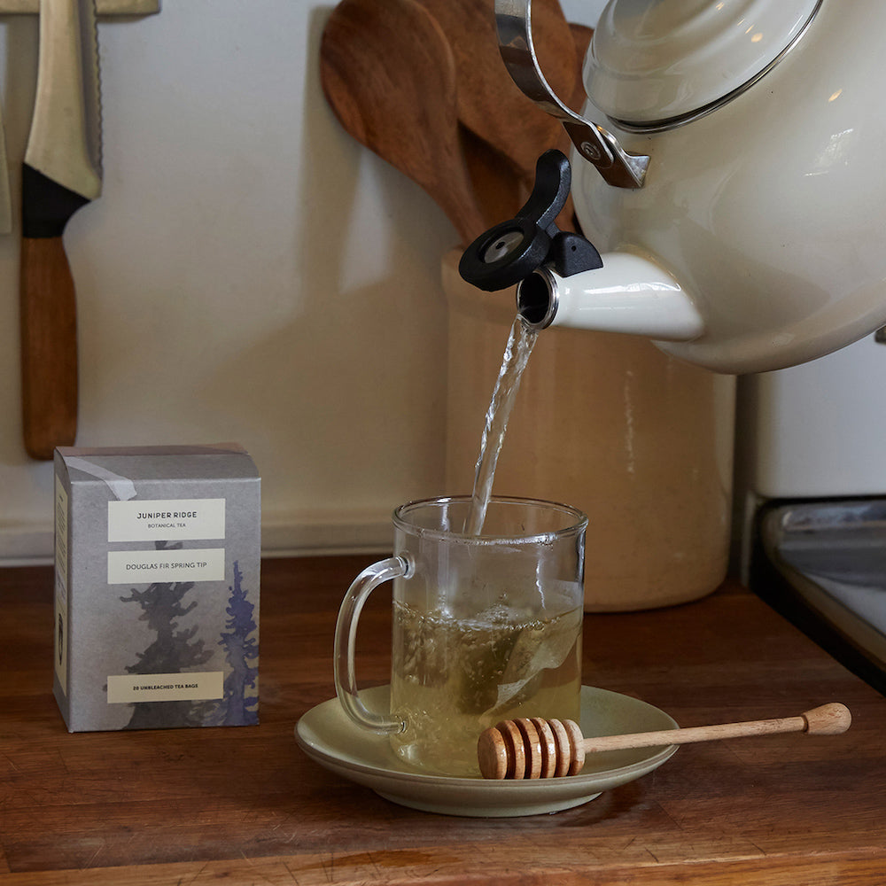Botanical Tea: Douglas Fir Spring Tip